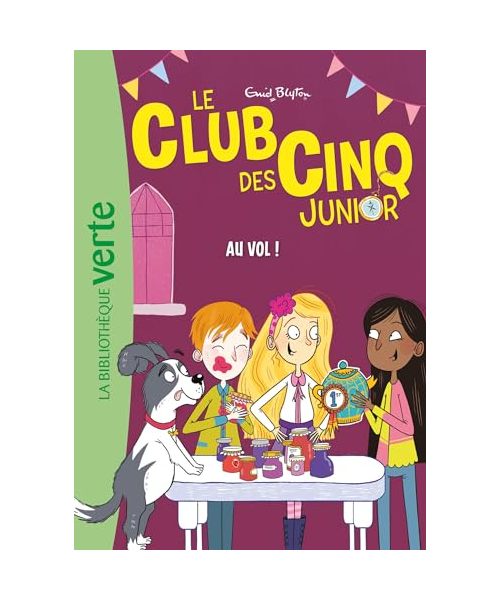 Le Club des Cinq Junior 15 - Au vol !: Le Club des Cinq Junior 15