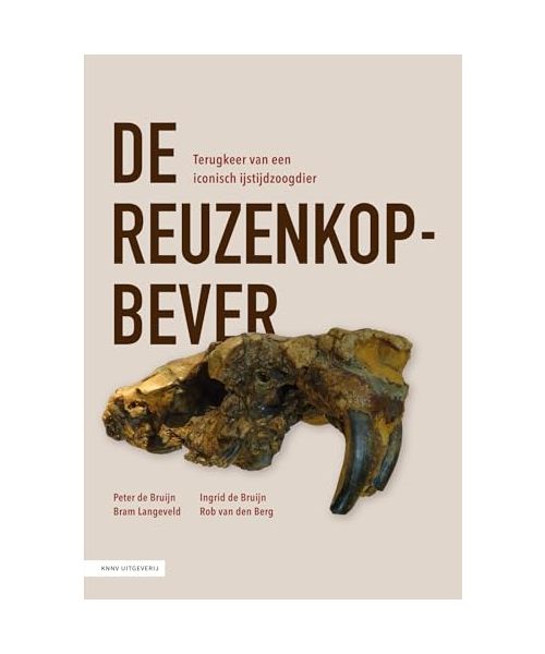 De reuzenkopbever: Terugkeer van een iconisch ijstijdzoogdier