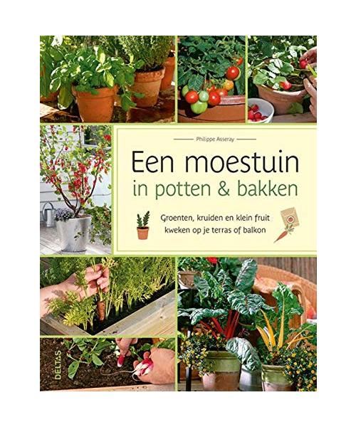 Een moestuin in potten & bakken: groenten, kruiden en klein fruit kweken op je terras of balkon