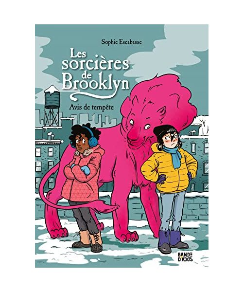 Les sorcières de Brooklyn, Tome 02: Avis de tempête