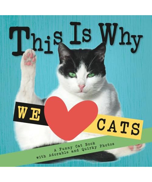 This Is Why We Love Cats