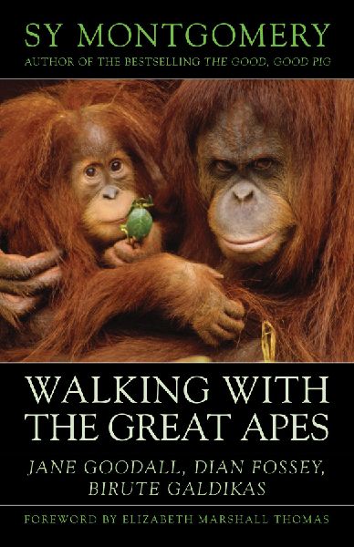 Walking with the Great Apes