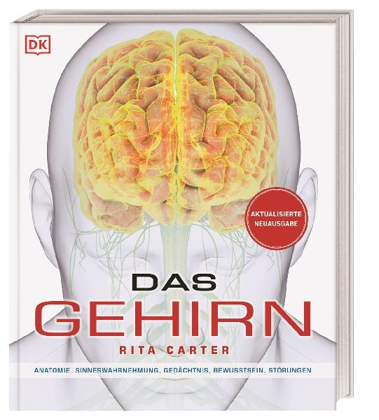 Das Gehirn