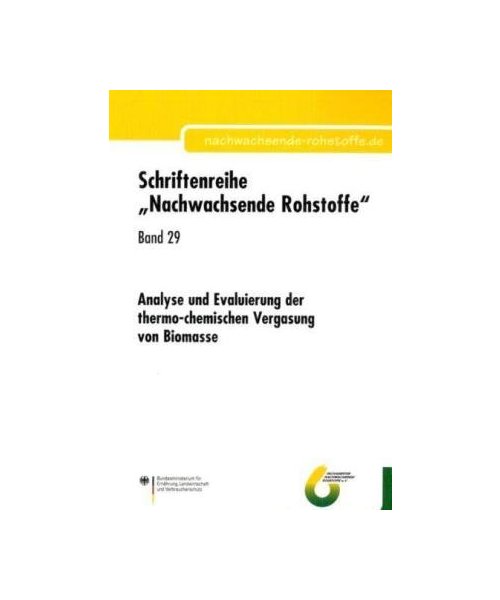 Analyse und Evaluierung der thermo-chemischen Vergasung von Biomasse