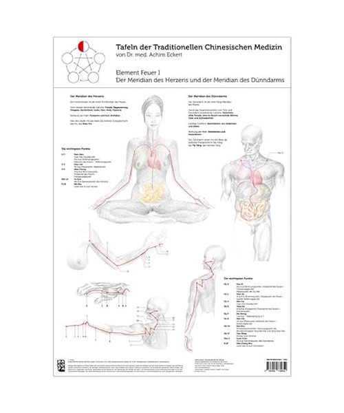 Tao Training Meridiantafel Feuer 1 Element
