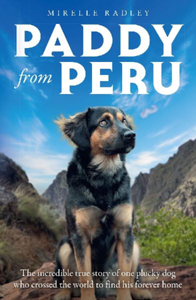 PADDY FROM PERU EXAIIE PB