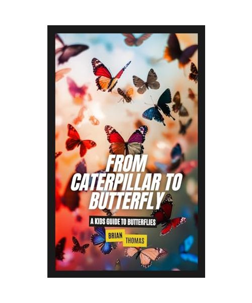 From Caterpillar to Butterfly: A Kids Guide to Butterflies