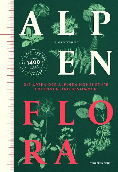 Alpenflora