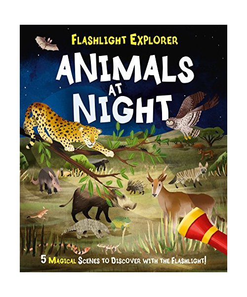 Flashlight Explorers: Animals at Night