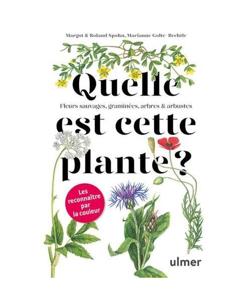 Quelle est cette plante ?