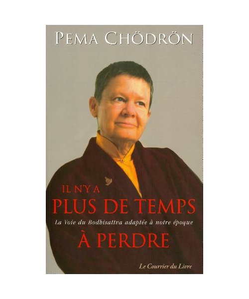 Il n'y a plus de temps à perdre - la Voie du Bodhisattva adaptée à notre époque