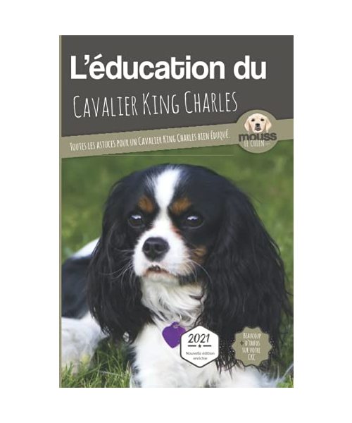 L'ÉDUCATION DU CAVALIER KING CHARLES - Edition 2021 enrichie: Toutes les astuces pour un Cavalier King Charles bien éduqué