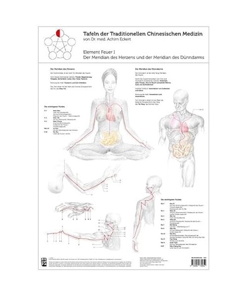 Tao Training Meridiantafel Feuer 1 Element