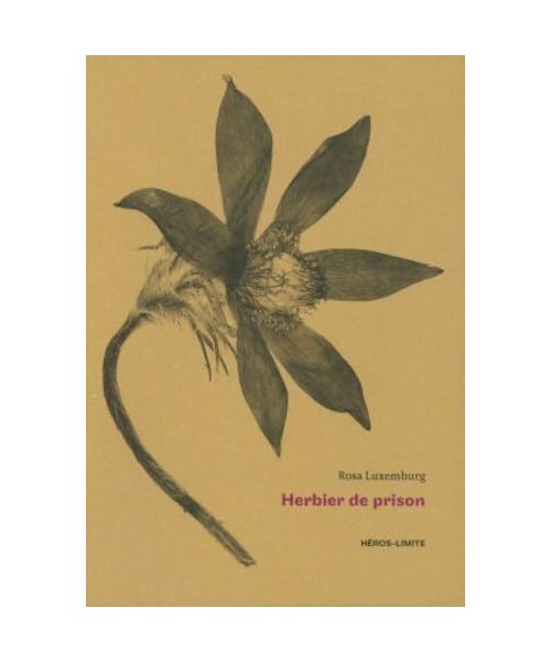 Herbier de prison: (1915 - 1918)