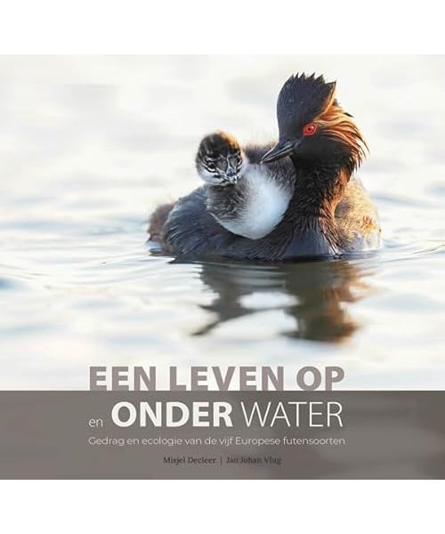 Een leven op en onder water: gedrag en ecologie van de vijf Europese futensoorten (Vogelfamilies, 1)