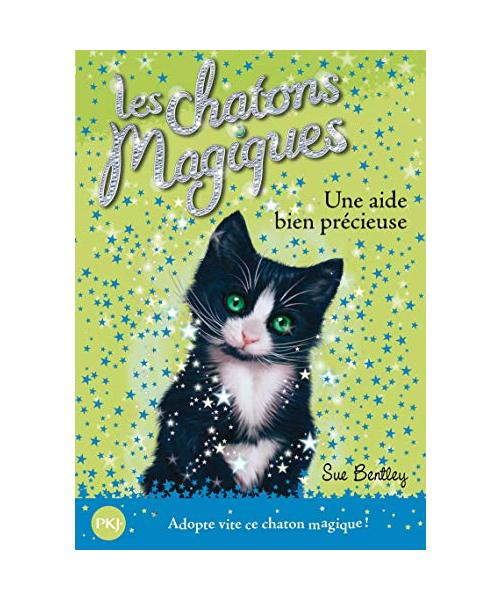 Une Aide Bien Precieuse = Classroom Chaos