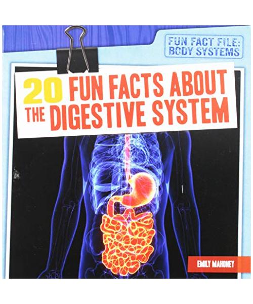 20 Fun Facts about the Digestive System