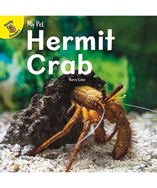 Hermit Crab