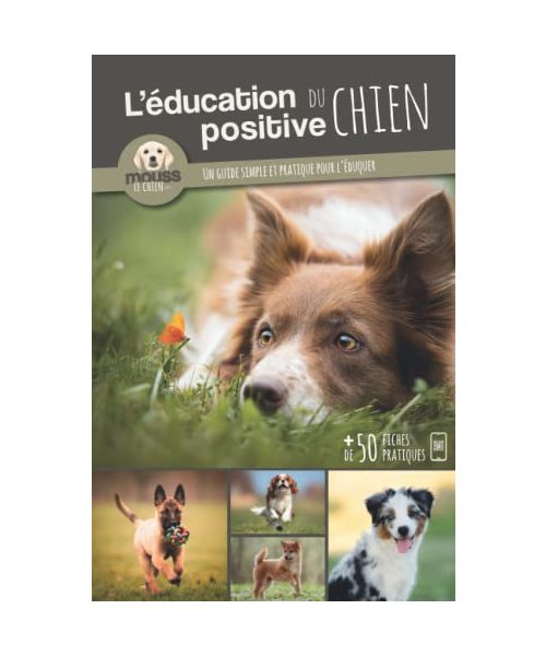 L’EDUCATION POSITIVE DU CHIEN: Un guide simple et pratique pour l'éduquer