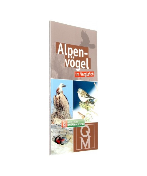 Alpenvögel im Vergleich