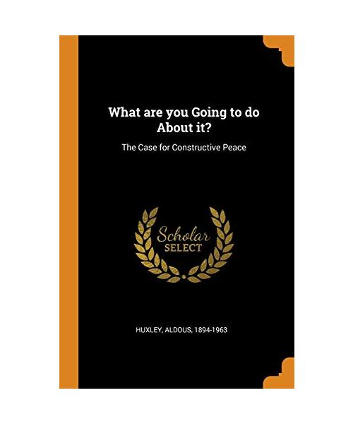 What are you Going to do About it?: The Case for Constructive Peace