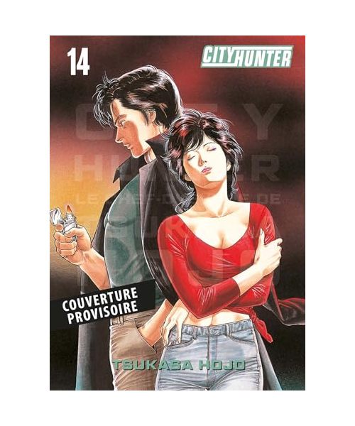 City Hunter Perfect Edition T14
