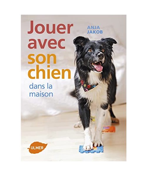 Jouer avec son chien dans la maison