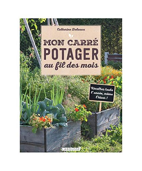Mon carré potager au fil des mois