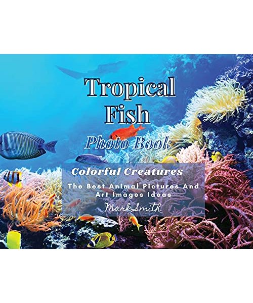 Tropical Fish. Photobook. Colorful Creatures: The Best Animal Pictures and Art Images Ideas