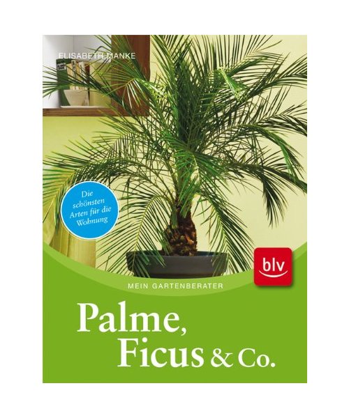 Palme, Ficus und Co.