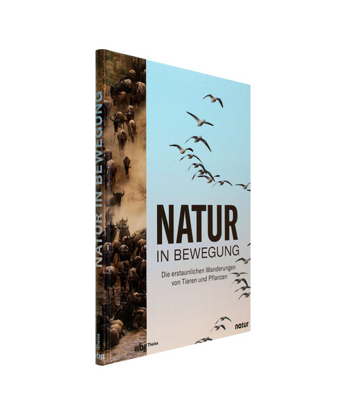 Natur in Bewegung