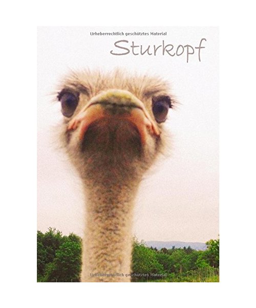 Notizbuch - A5 - Sturkopf: liniert - Strauß