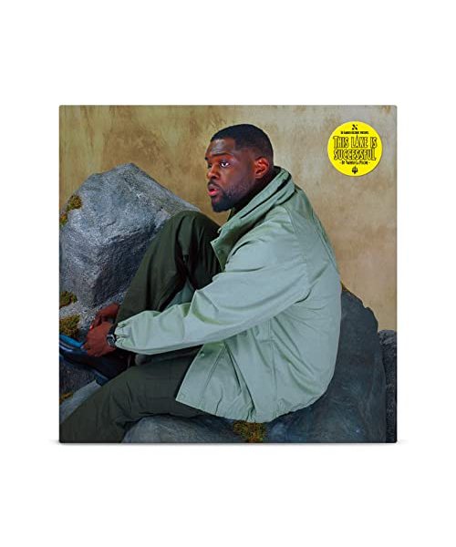 This Lake Is Successful [Vinyl LP]