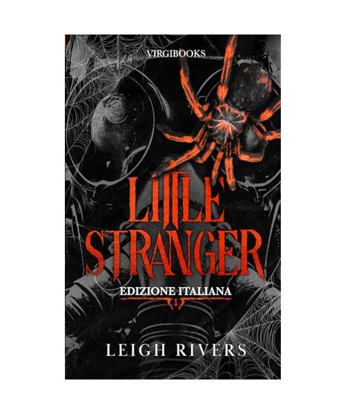 Little Stranger: Edizione Italiana (La ragnatela del silenzio, Band 1)