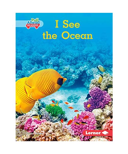 I See the Ocean