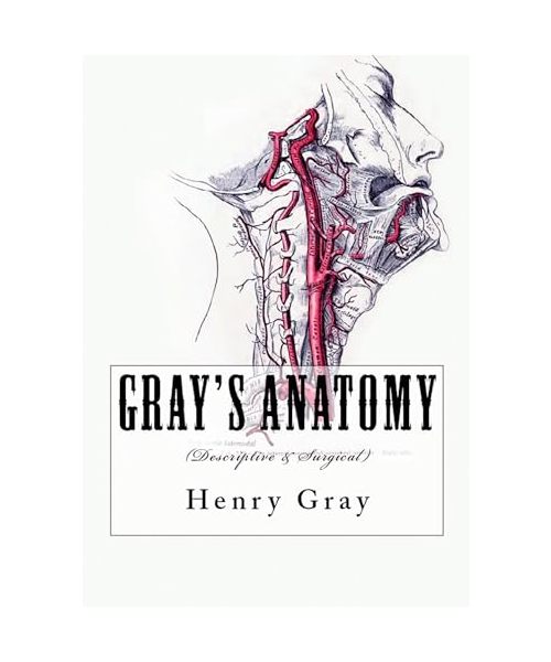 Gray's Anatomy