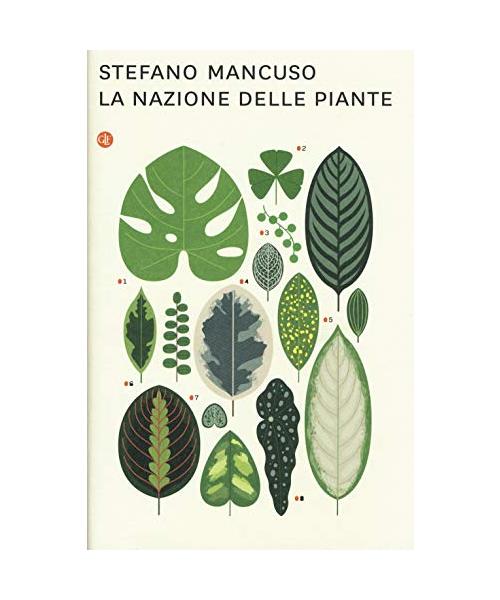 La nazione delle piante