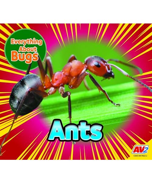 Ants
