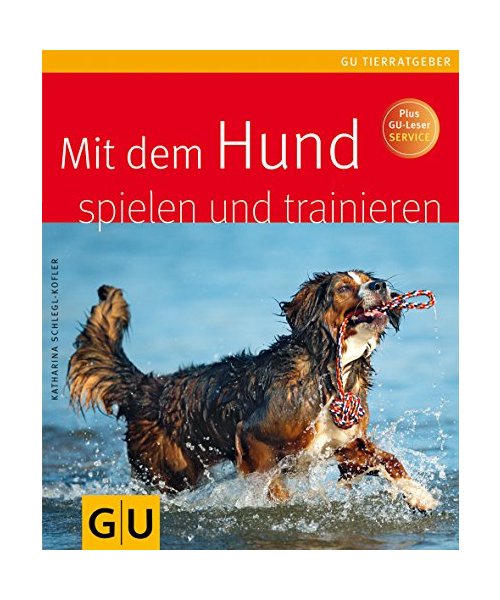 Mit dem Hund spielen und trainieren