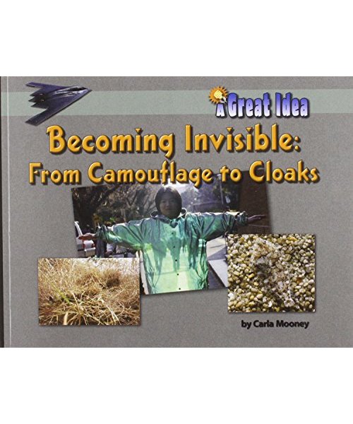 Becoming Invisible: From Camoflage to Cloaks