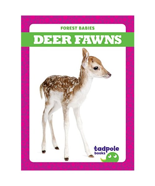 Deer Fawns