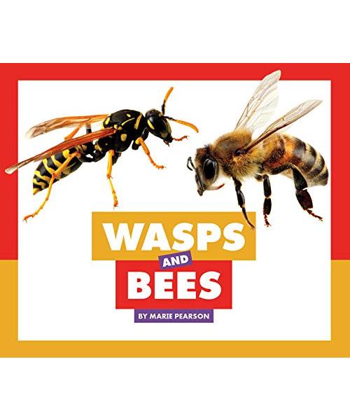 Wasps and Bees