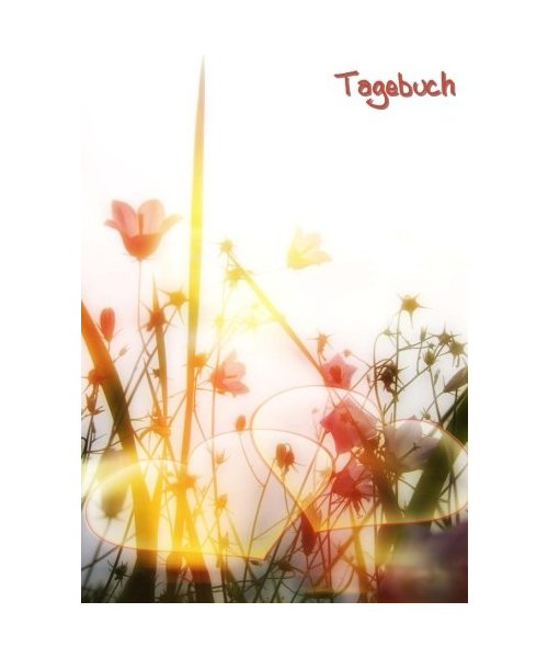 Tagebuch - Herzen und Blumen: DIN A5, 108 Seiten, liniert