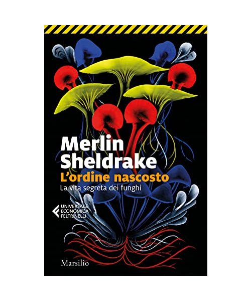L' ordine nascosto. La vita segreta dei funghi