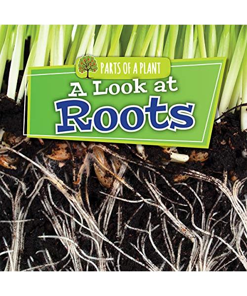 A Look at Roots (Parts of a Plant)