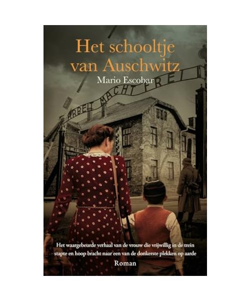 Het schooltje van Auschwitz: roman