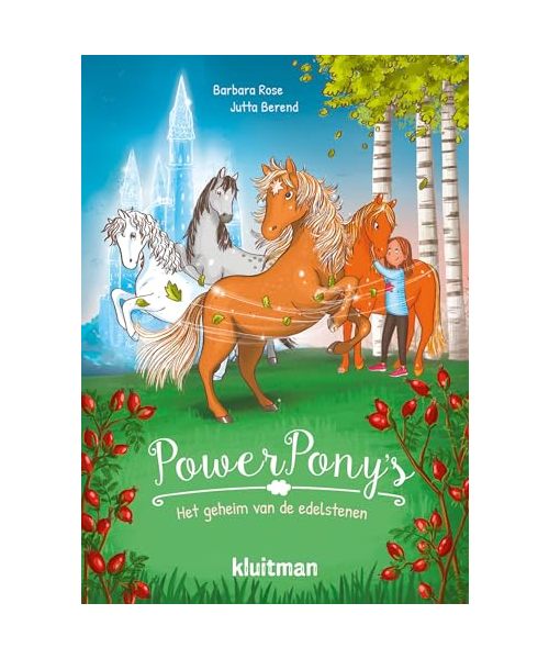 Het geheim van de edelstenen (Powerpony's, 1)