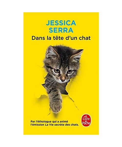 Dans la tête d'un chat