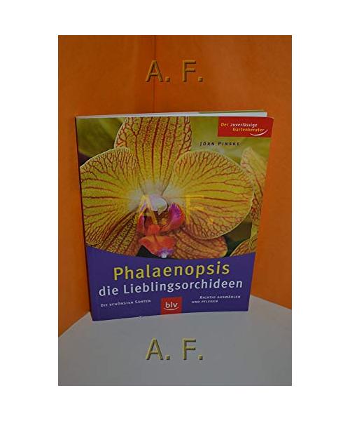 Phalaenopsis