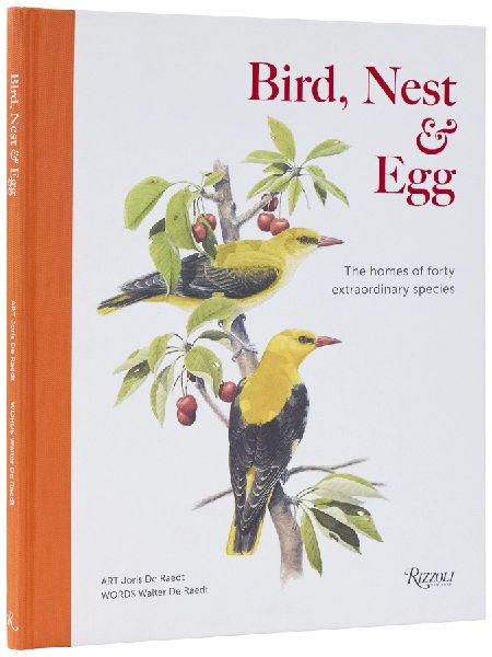 Bird, Nest & Egg